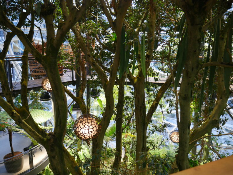 An image of the inside of the Amazon Spheres.