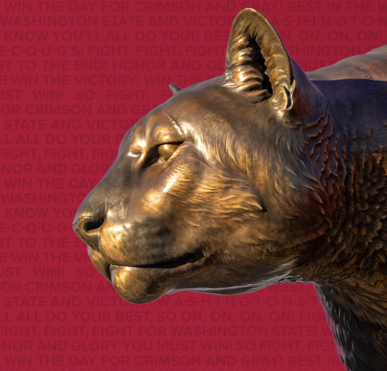 A statue of a Cougar in front of a crimson background.