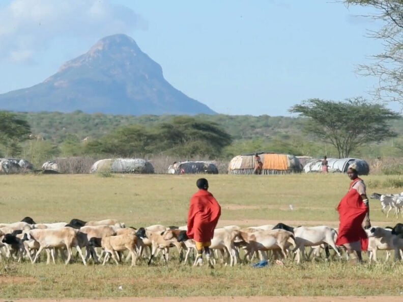 Shepherds herding livestock near wilderness.
