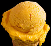 Photo of Pumpkin Ice Cream