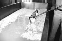 A photo of a cheese vat.