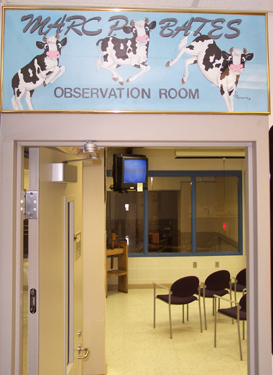 A photo of the observation room.