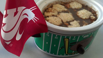 Photo of Thunderbird Stew w/ Dill Garlic Dumplings