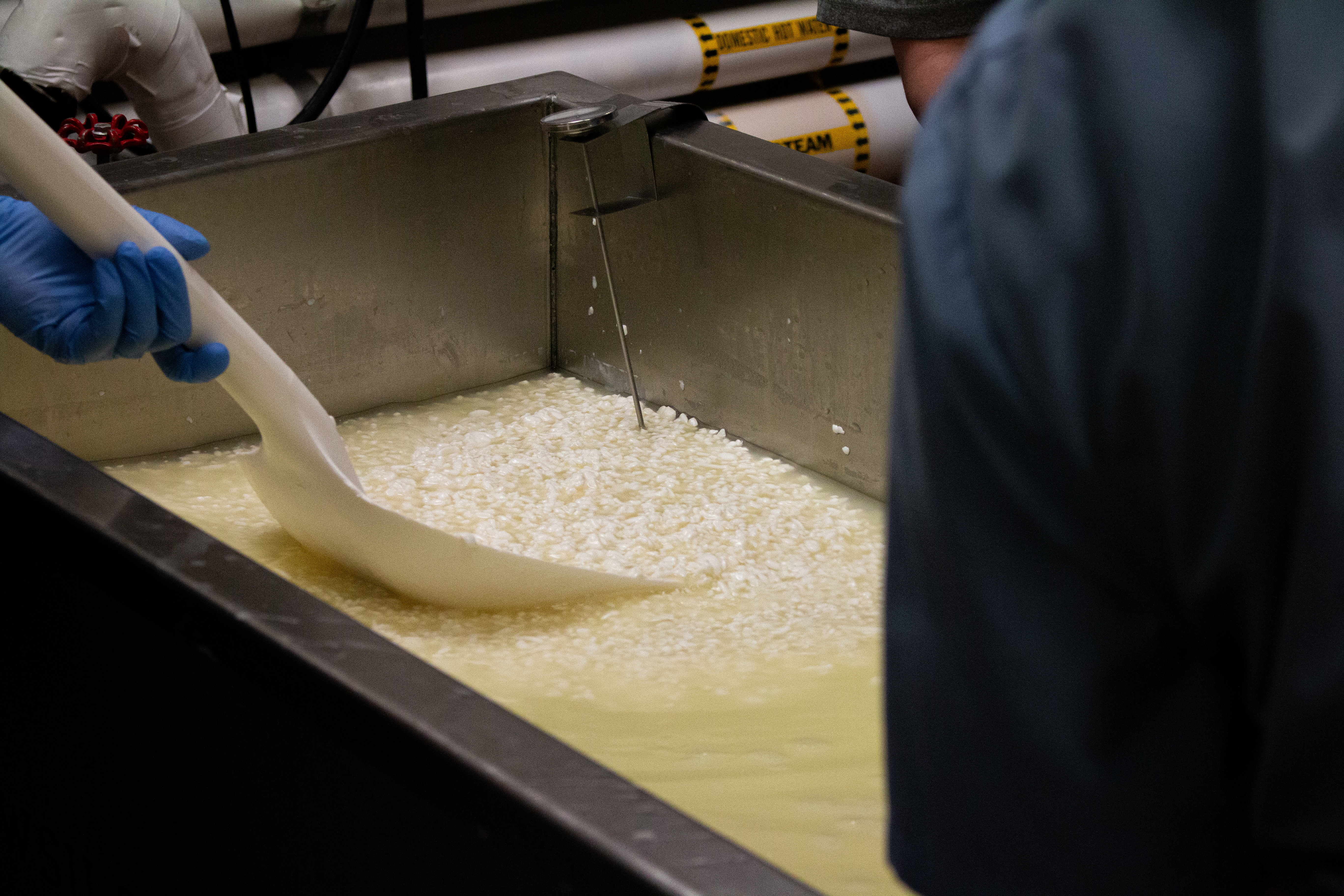 Cheese in a vat being moved by a shovel.