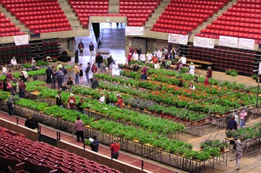 Plant Sale