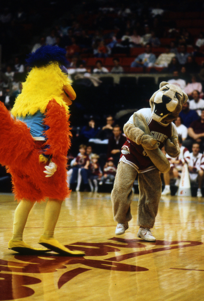 Image of Butch and an opposing mascot on court!