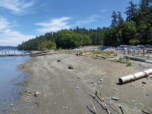 c_2014-07-17_1684 copy