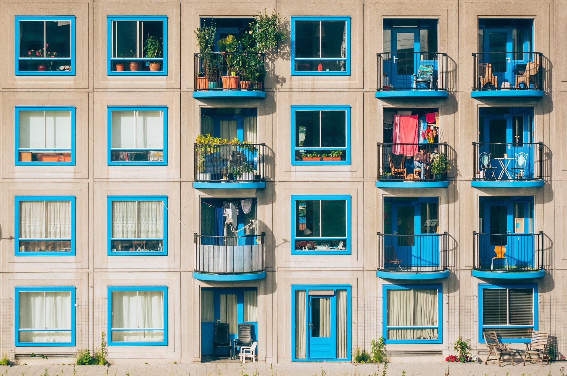 apartment with blue windows
