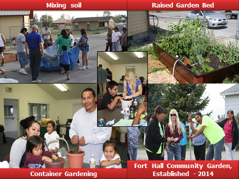 Powerpoint slide: people mixing soil, raised garden bed, youth container gardening, Fort Hall Community Gardening established - 2014
