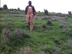Man walking through a pasture.