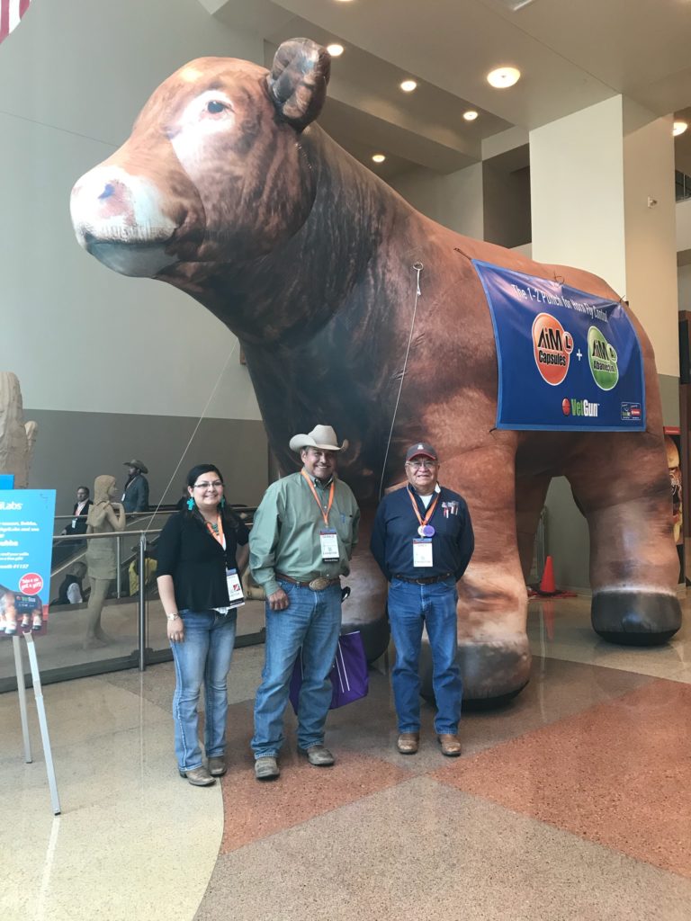 Three people standing in front of a statue of a bull