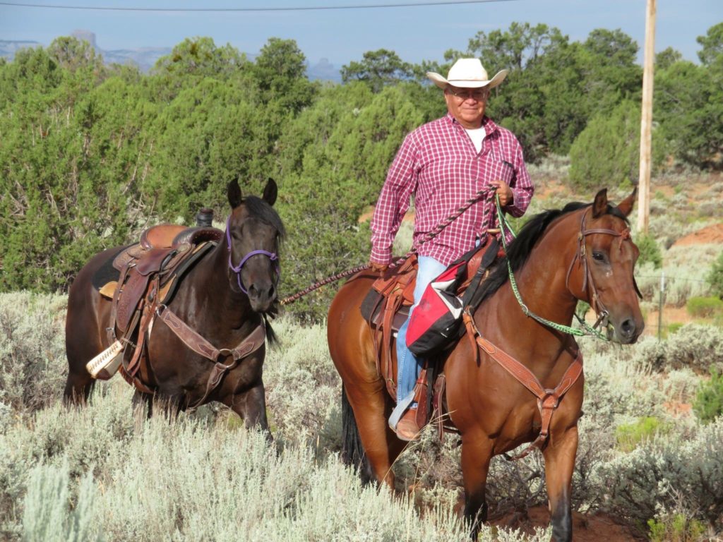 Man on horseback ponying another horse in the mountains