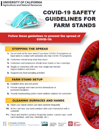 The image of the Covid Safety Plans for Farm Stands Flyer