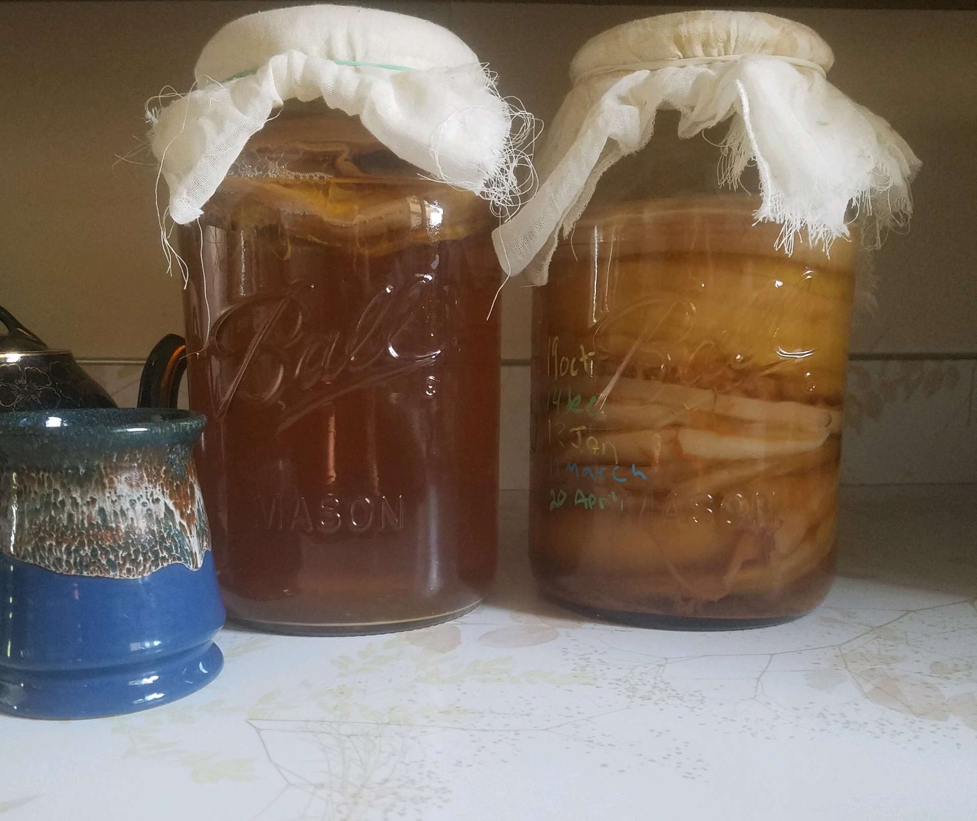 Kombucha fermenting