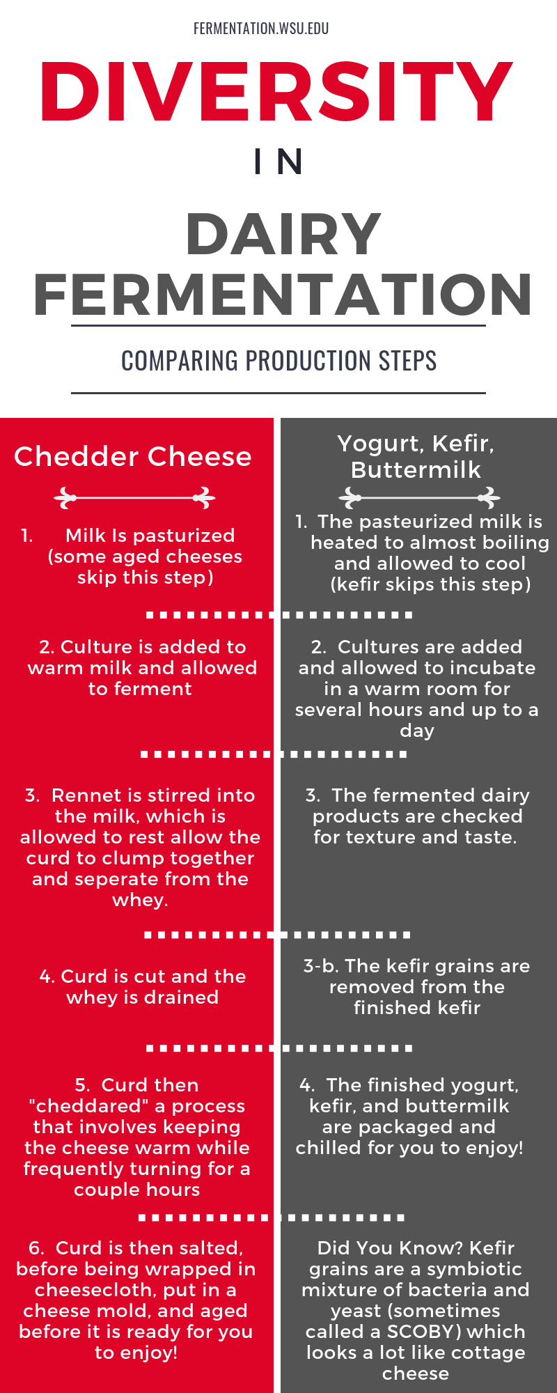 Diversity in dairy fermentation