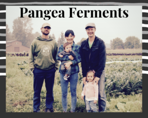 Pangea ferments