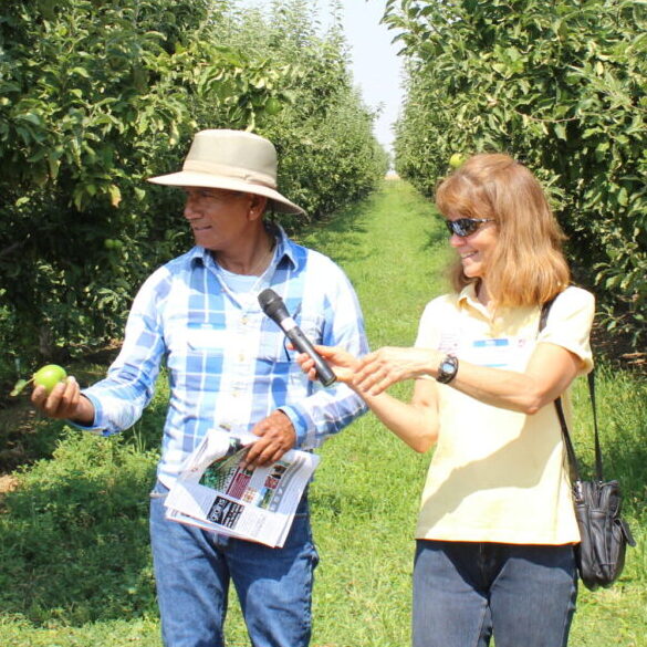 Marcia Ostrom holding a microphone and walking next to a farmer in an orchard