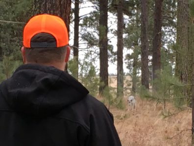 man in orange hat encountering a coyote