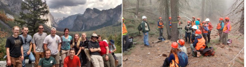 2 photos show a group of researchers smiling in a mountainous setting, the other is a group of researchers wearing hardhats and other gear in a burned out forest setting.