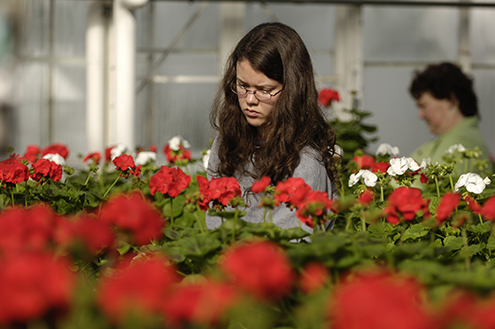 A student in a patch of red flowers
