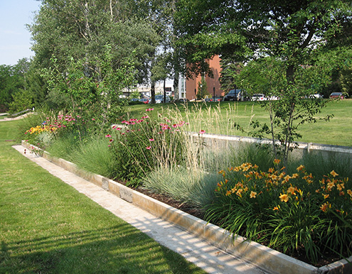 A planter bead filled with a variety of grasses