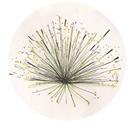 Illustration of Blonde Ambition.