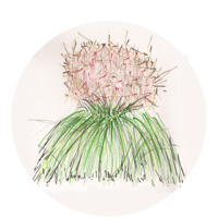 Illustration of Huron Sunrise.