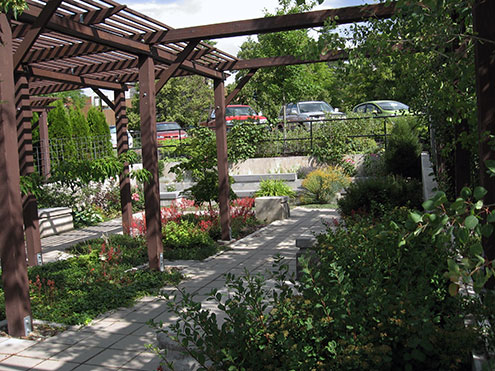 Shade Garden with a pergola