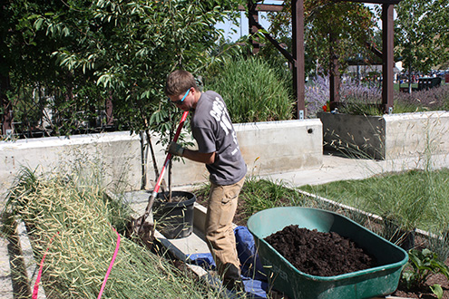 Student digging in the plant bed.