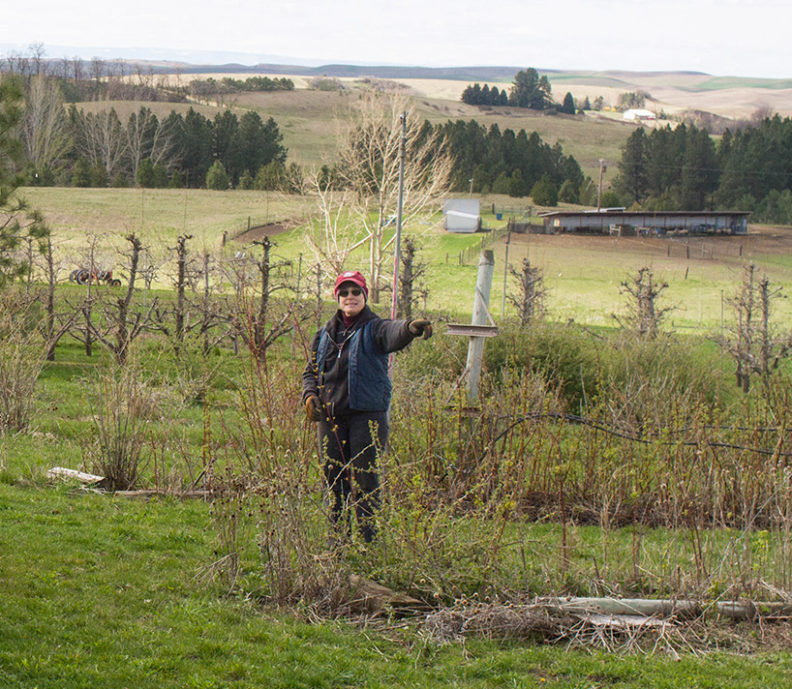 Person on a farm pointing