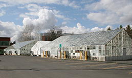 Greenhouses