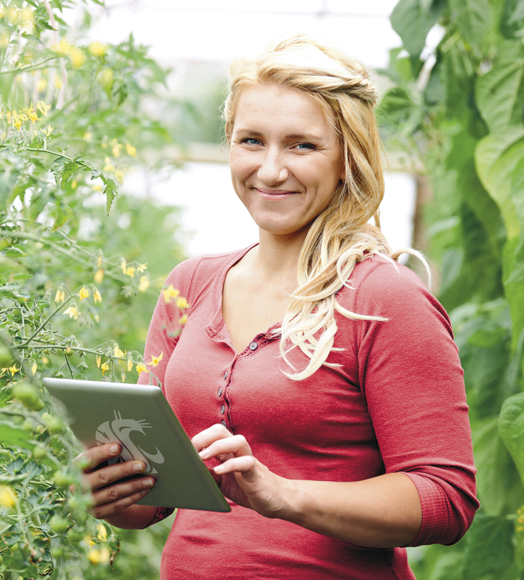 Photo of Farm Worker In Greenhouse Checking Tomato Plants Using Digital Tablet
