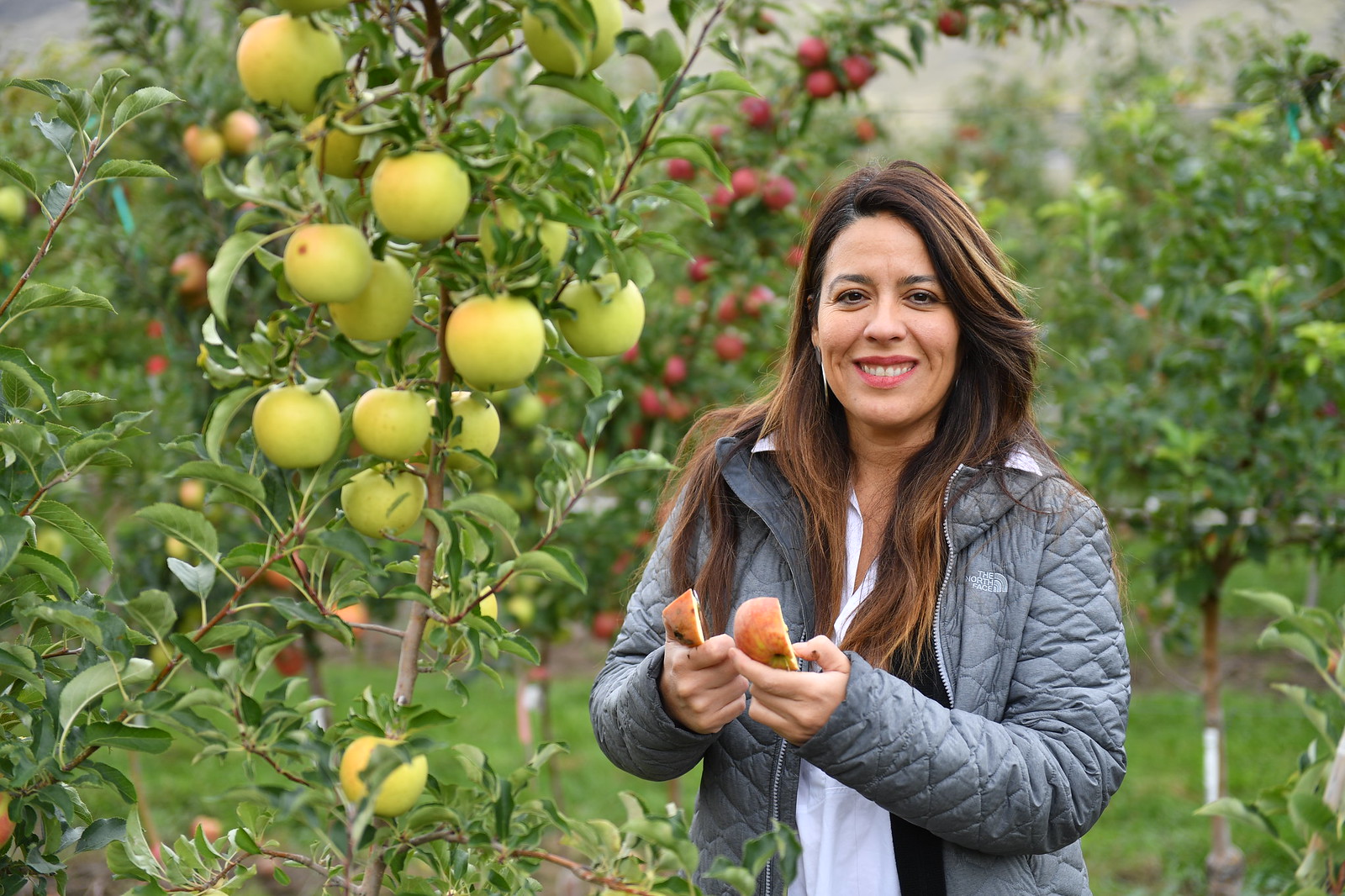 Woman in orchard holding apple