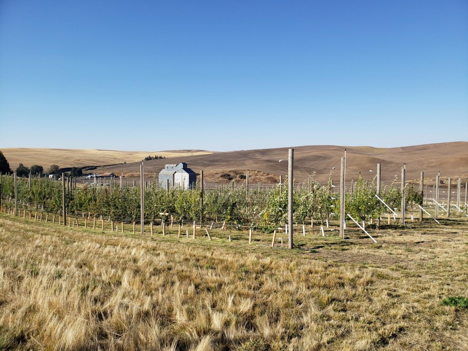 Hort Center variety block