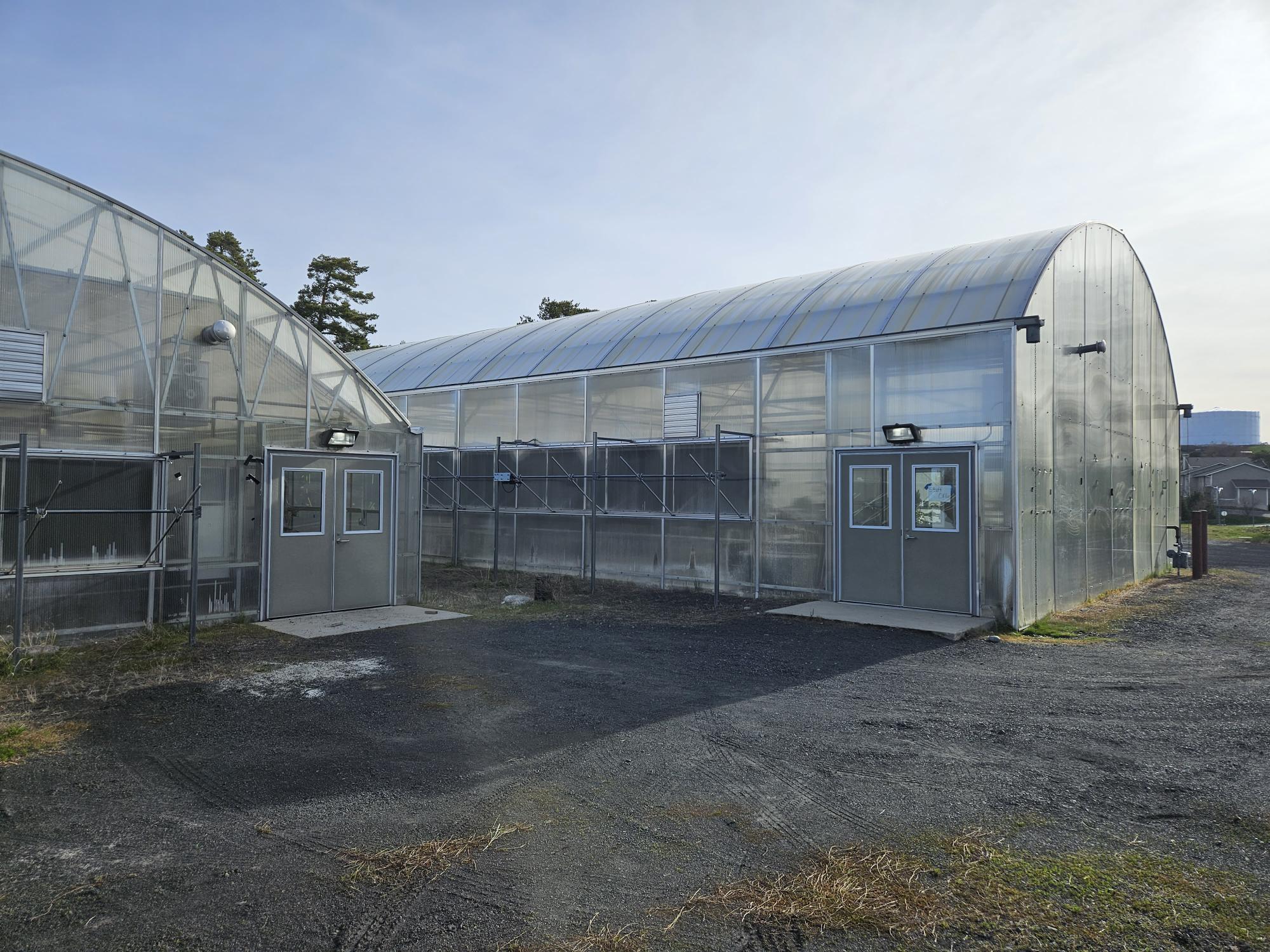 Exterior view of the Horticulture Teaching Greenhouses