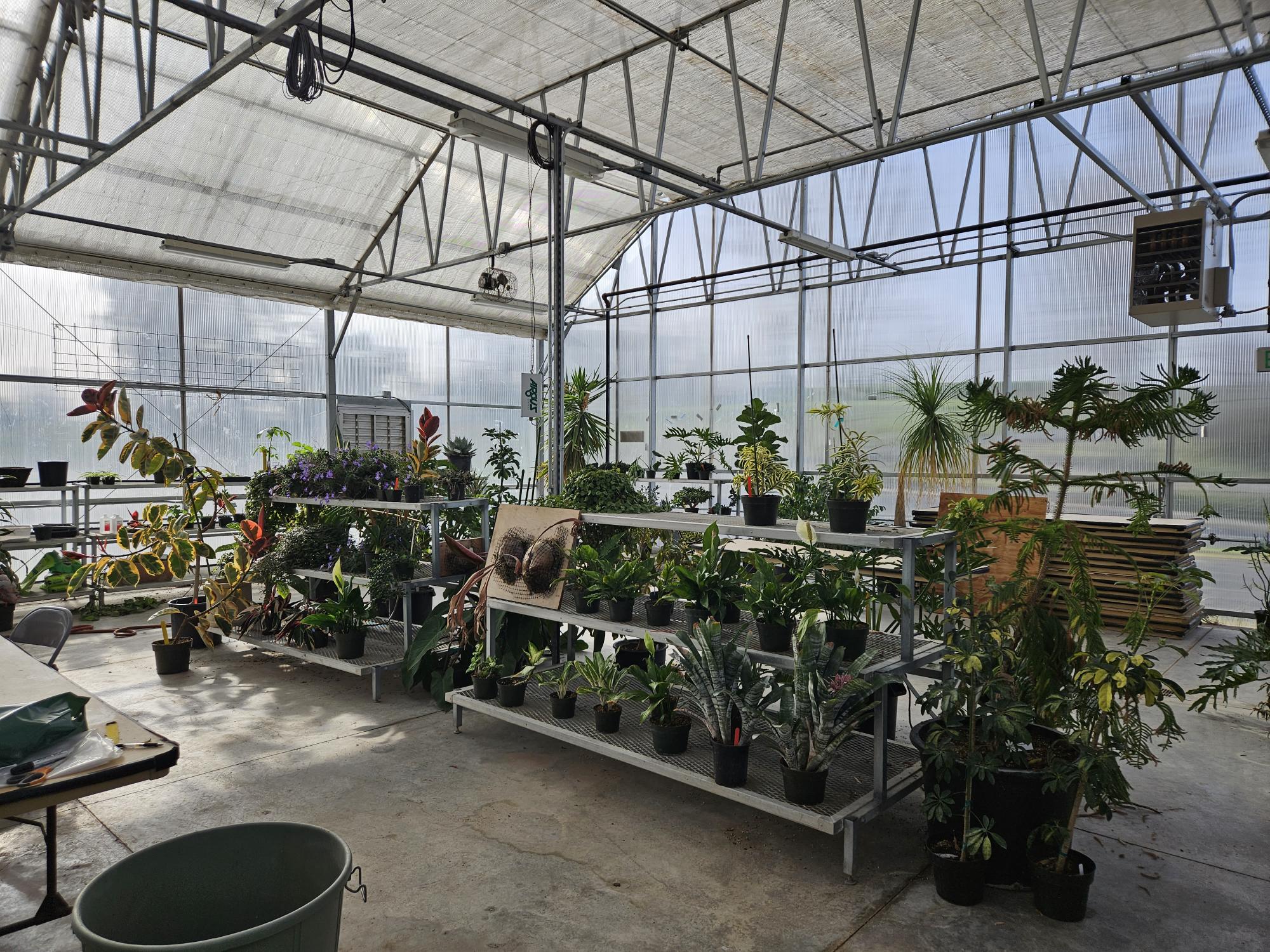 The houseplant teaching lab in the horticulture teaching greenhouse.