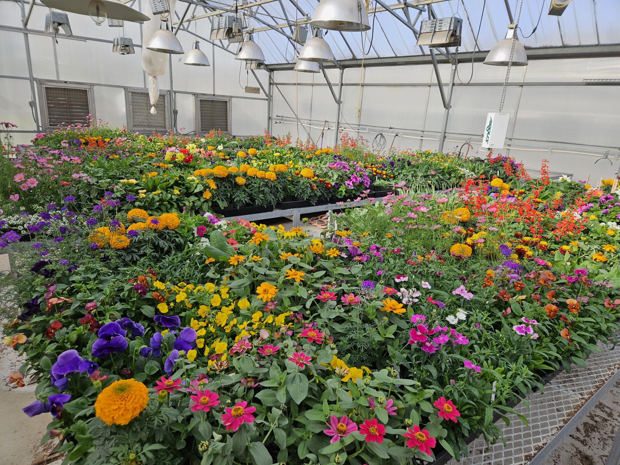 Plants grown by students of the HORT 150 course.