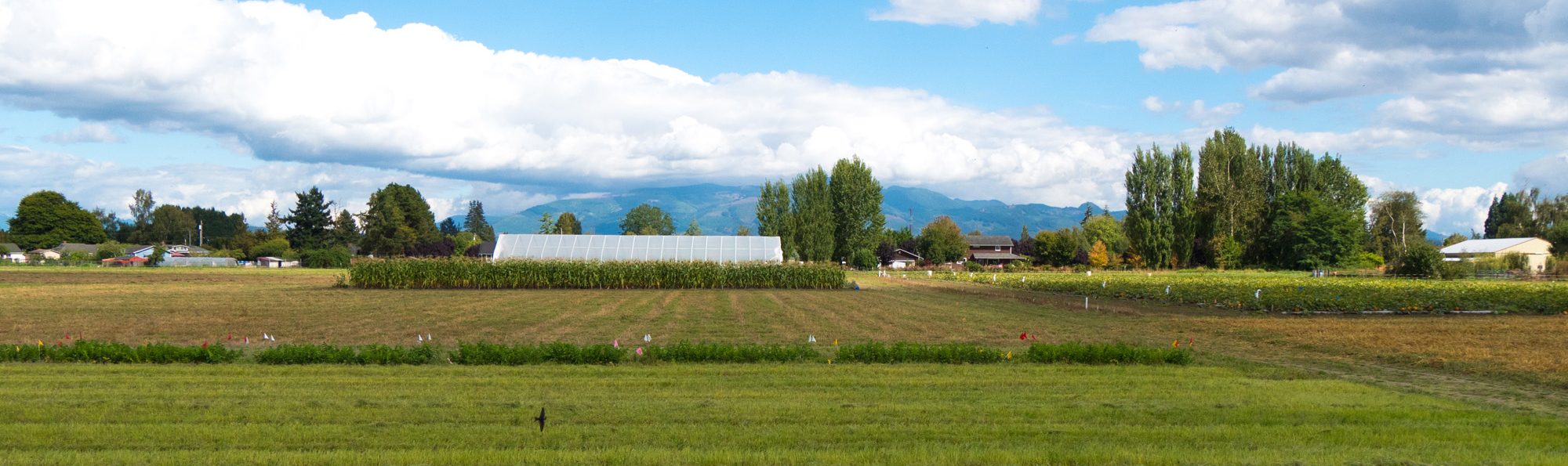 Farmland at the Mt. Vernon NWREC