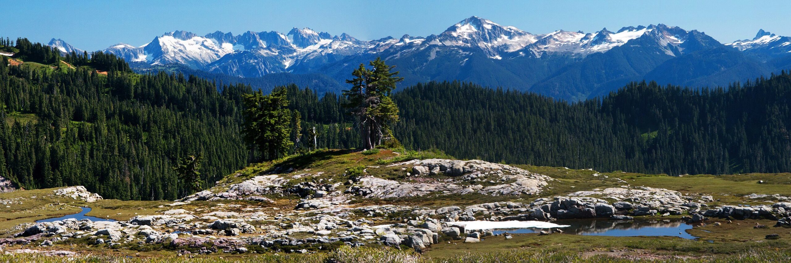 Panoramic view of the Cascade Mountains.