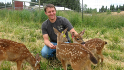 Geologist in the field with several fawns..