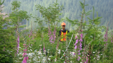 Geologist in the field.