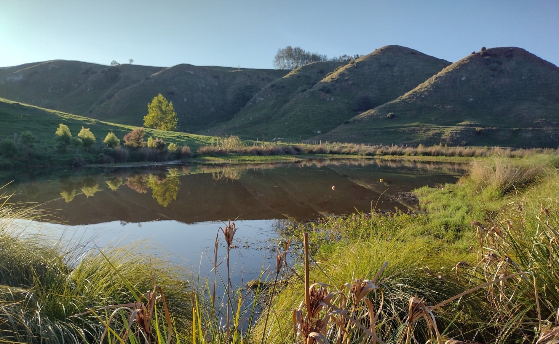 A lovely pond in the countryside.