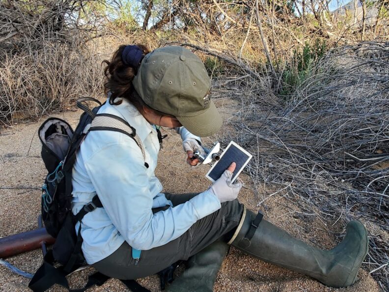 Environment student working in the field.