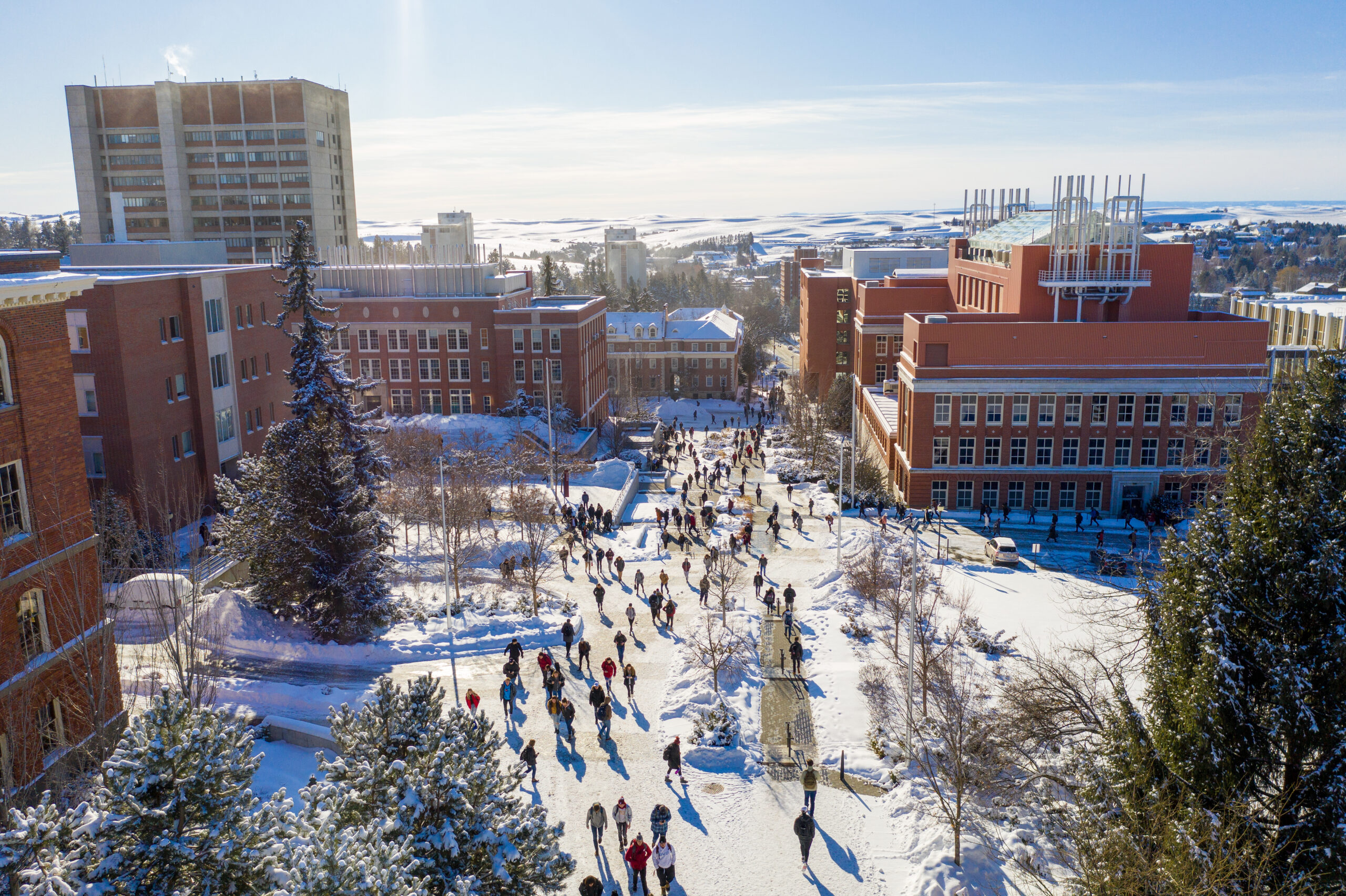 Aerial photo of the Pullman campus in winter.