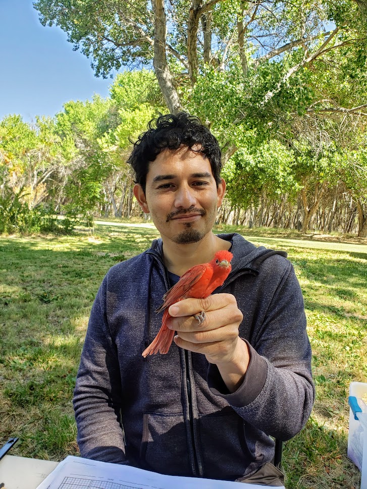 A student holds a brightly colored bird.
