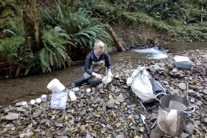 SOE student collecting samples near a stream.
