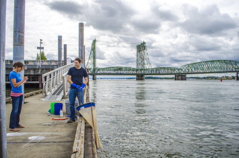 Students taking samples from a body of water.