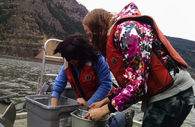 Students wearing lifejackets on a river examining local ecology.