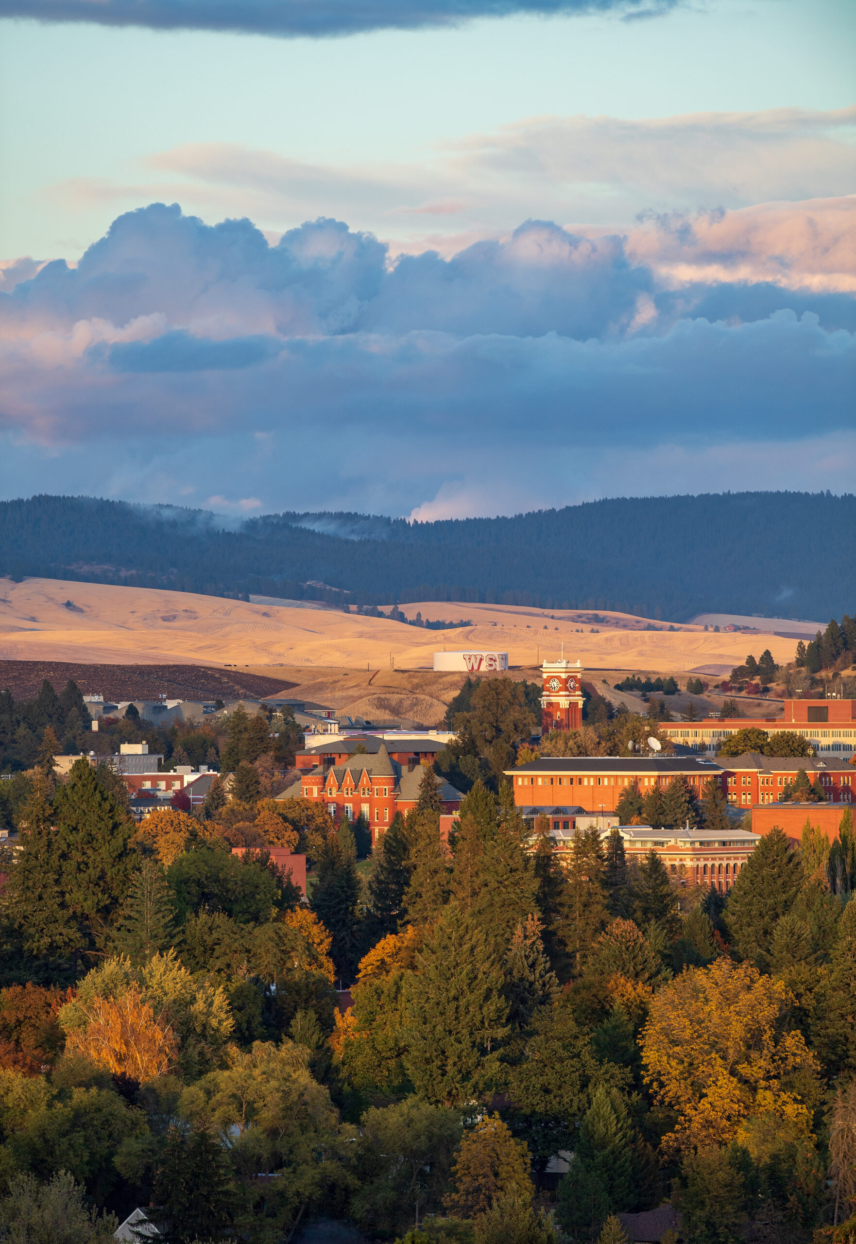 Aerial photo of the Pullman campus.