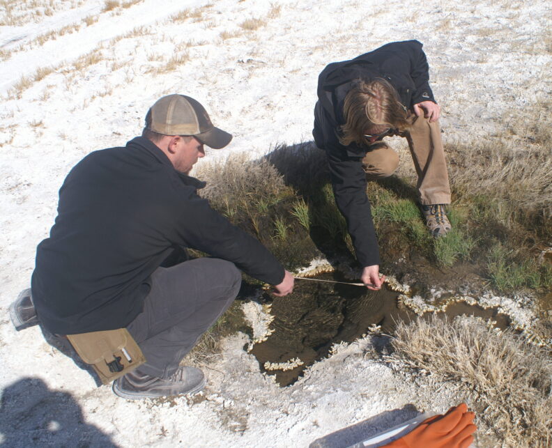 Researchers working in the field.